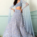 Periwinkle